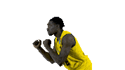 Ewe Baskets Basketball Sticker by EWE Baskets Oldenburg