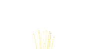 Volim Volitve Sticker by 8marec
