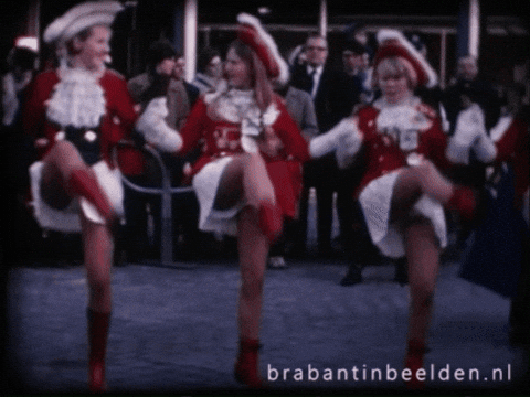 Carnaval Brabant GIF by BrabantinBeelden
