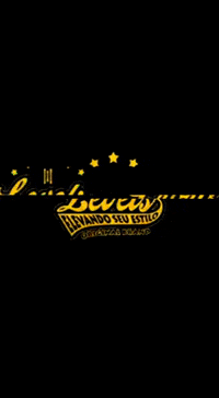 levelsloja levels GIF