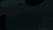 Graduation Class GIF by University of Michigan
