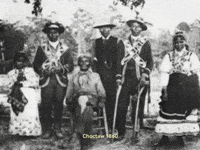 Indigenous People February GIF by Catāli