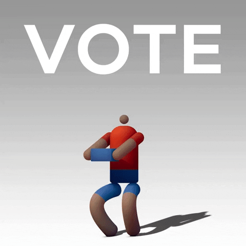 voting united states GIF by sahlooter