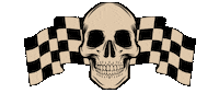 Racing Skull Sticker by kingmonster