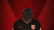 Vbl Regensburg GIF by Bundesliga