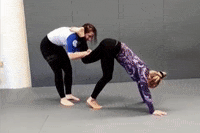 Bjj Grappling GIF