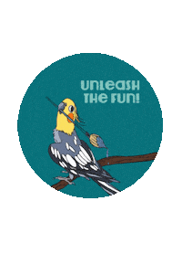 Drawing Bird Sticker