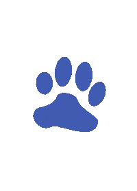 Drawing Pet Sticker