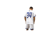 College Sports Ncaa Sticker by Delaware Blue Hens