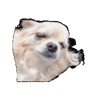 Waking Up What Sticker