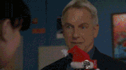 christmas #ncis GIF by CBS