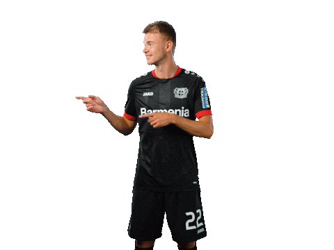 Bayer 04 Werkself Sticker by Bayer 04 Leverkusen