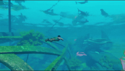 Sea Life Swimming GIF by Gameforge