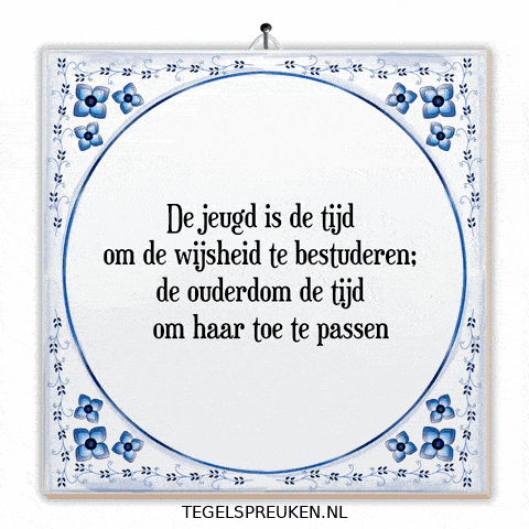 Humor Wijsheid GIF by Tegelspreuken.nl
