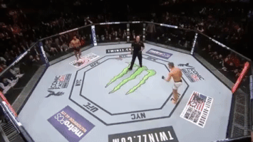 ufc 205 GIF