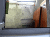 cat parents GIF