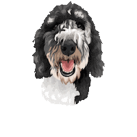Pepperpp Sticker by Pickle's Pawtraits