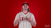 Baseball Mlb GIF by Cincinnati Reds