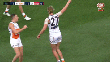 afl giants GIF