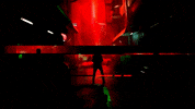 GIF by Le Figaro