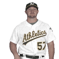 Regular Season Sport Sticker by MLB