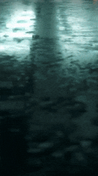 Polyphia GIF by Youtooz