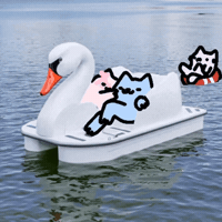 Nubspain GIF