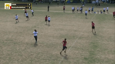 flikulti ultimate frisbee flik GIF