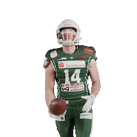 Rannfl Itsallabouttheu Sticker by Schwäbisch Hall Unicorns