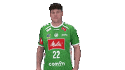 Handball Gwdminden Sticker by GWD Minden Handball-Bundesliga GmbH & Co.KG