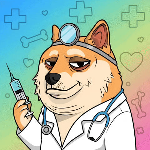 Shiba Inu Doctor GIF by Doge Pound