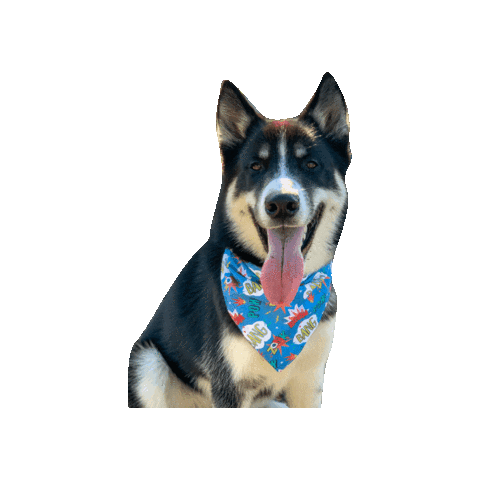 Comic Dog Boom Sticker by Geekster Pets