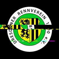 galoppdresden pferddig galoppdresden GIF