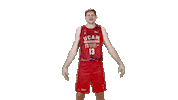 Celebrar Liga Endesa Sticker by ACB