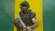 Busch GIF by NDSU Athletics