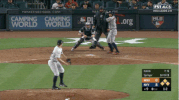 Yankees Alcs GIF by Jomboy Media