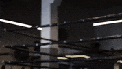 Sport Loop GIF by 2XU