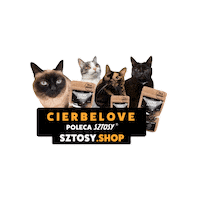 Cat Coconut Sticker by Sztosy.co