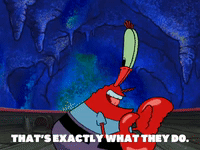 season 7 episode 24 GIF by SpongeBob SquarePants