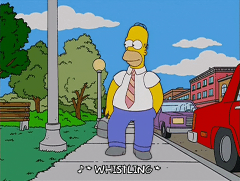 homer simpson GIF