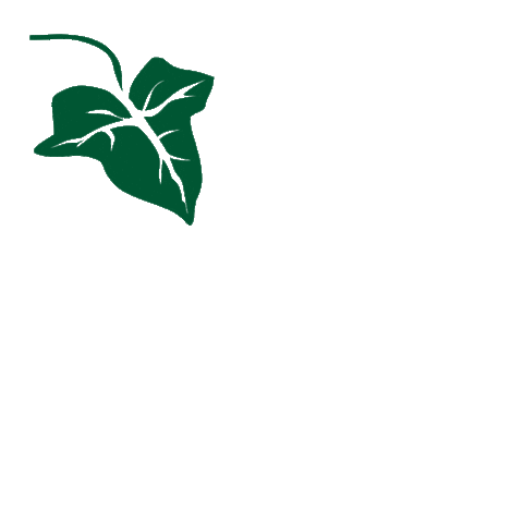 martanlloret giphyupload summer nature green Sticker