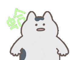 Cat What Sticker