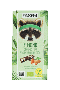 Raccoonchoc Sticker by Raccoon Foods