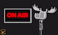 DoYouMoose live studio sing mic GIF