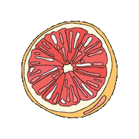Fruit Grapefruit Sticker by culture pop soda