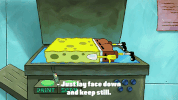 season 9 episode 20 GIF by SpongeBob SquarePants