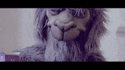 brendon urie fob GIF by Fall Out Boy