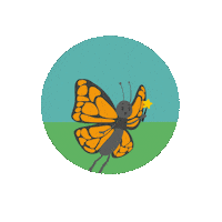 LioxFoundation love heart butterfly liox foundation Sticker