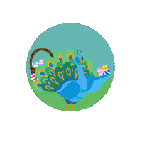 Happy Peacock Sticker by LioxFoundation