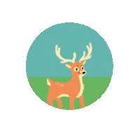 LioxFoundation star mars deer liox foundation Sticker